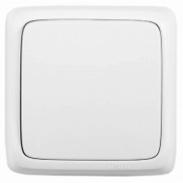 Фотография товара 'Hegel ВА16-163 Переключатель открытой установки, одноклавишный'