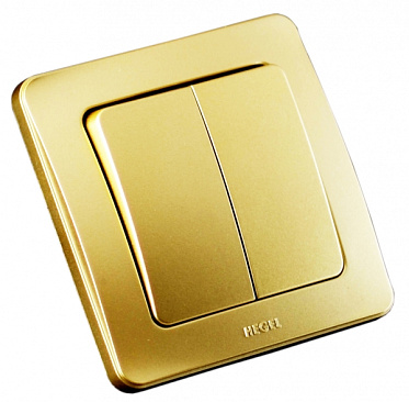 Фотография товара 'Hegel ВС16-351-07 Выключатель скрытой установки, двухклавишный'