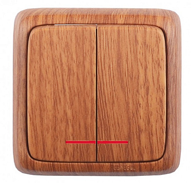 Фотография товара 'Hegel ВА16-154-05 Выключатель открытой установки, двухклавишный'